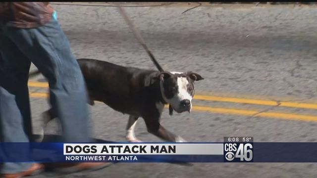 Dogs attack man one mile from where children were mauled
