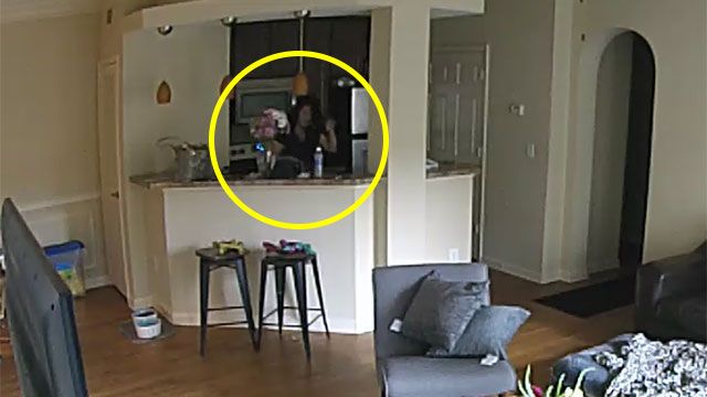 Woman hired to watch dog caught urinating in dog owner's kitchen pot