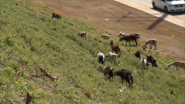 Atlanta Ga News Weather Events Photos Georgia