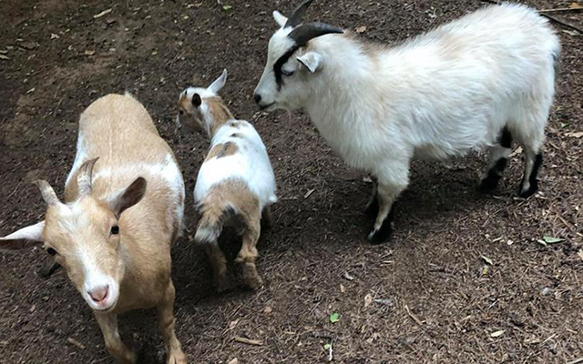 Source: Walton County Sheriff's Office