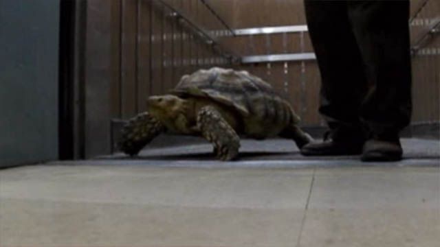 LOUISVILLE, KENTUCKY (CBS46/CNN) -