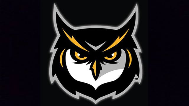 Kennesaw State's dream season ends in playoff quarterfinals